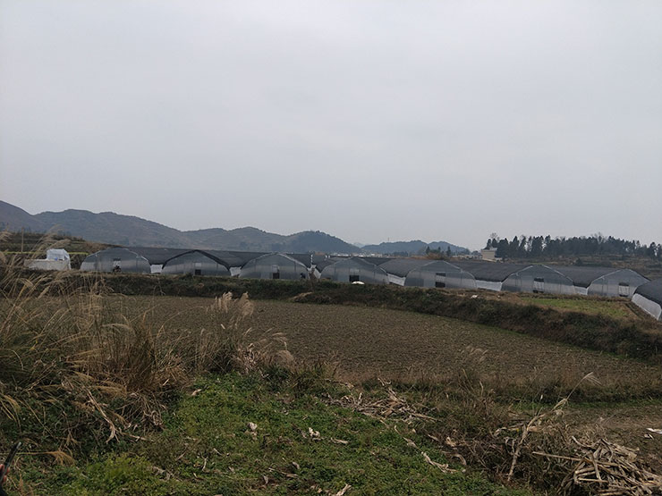 ��Ӯ���ޡ�bwin(�й���)�ٷ���վ