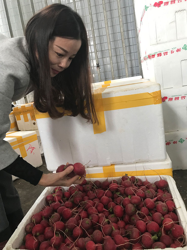 ��Ӯ���ޡ�bwin(�й���)�ٷ���վ