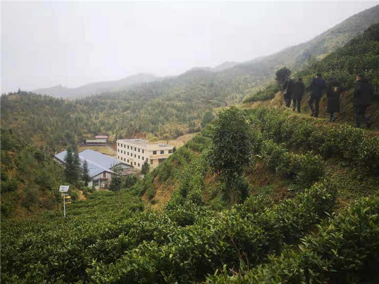 ��Ӯ���ޡ�bwin(�й���)�ٷ���վ