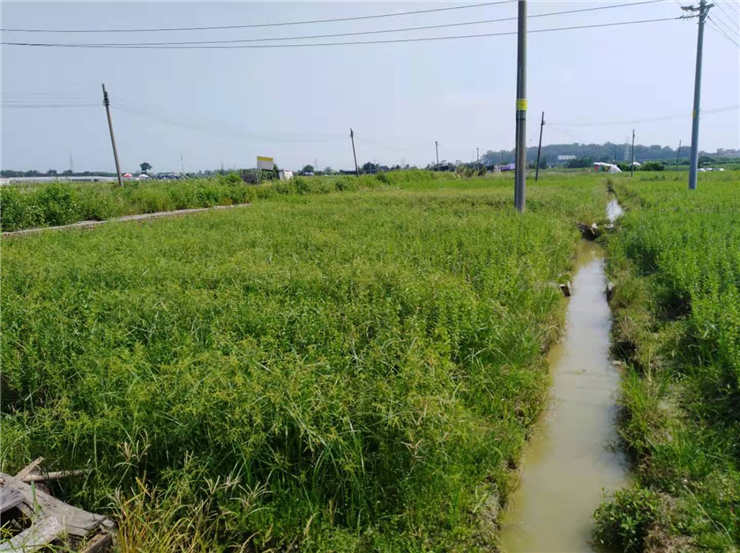 ��Ӯ���ޡ�bwin(�й���)�ٷ���վ