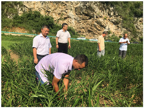 ��Ӯ���ޡ�bwin(�й���)�ٷ���վ