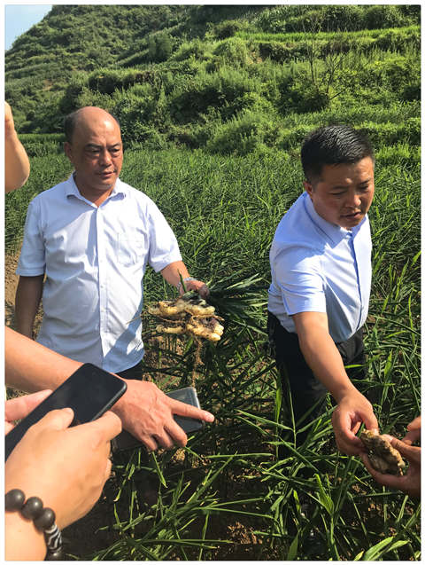 ��Ӯ���ޡ�bwin(�й���)�ٷ���վ