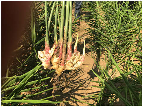 ��Ӯ���ޡ�bwin(�й���)�ٷ���վ