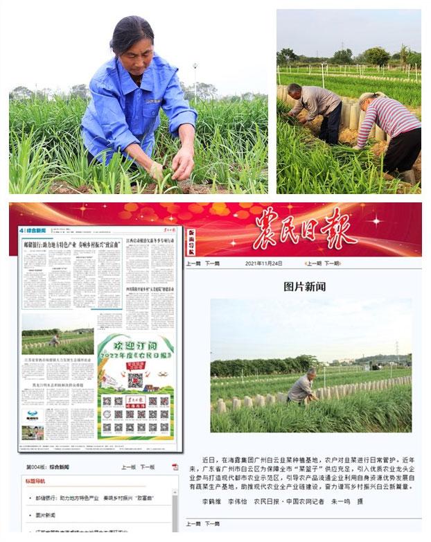 ��Ӯ���ޡ�bwin(�й���)�ٷ���վ