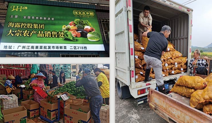 ��Ӯ���ޡ�bwin(�й���)�ٷ���վ