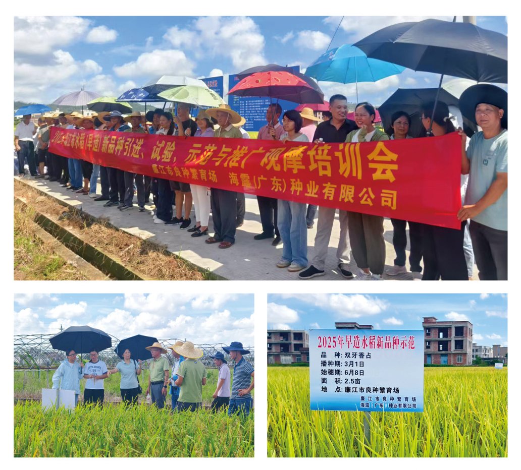 ��Ӯ���ޡ�bwin(�й���)�ٷ���վ