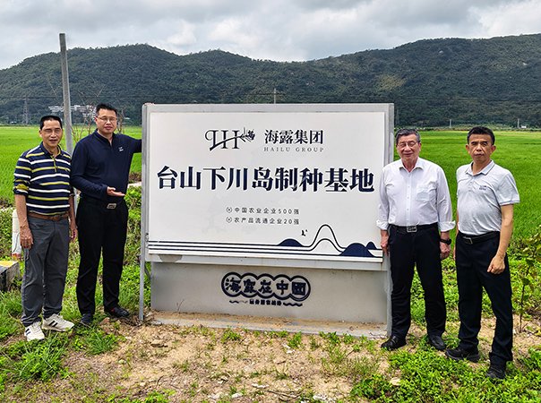 ���Ÿ�����ɽ����̨ɽ���ֻ����ֳ��칫