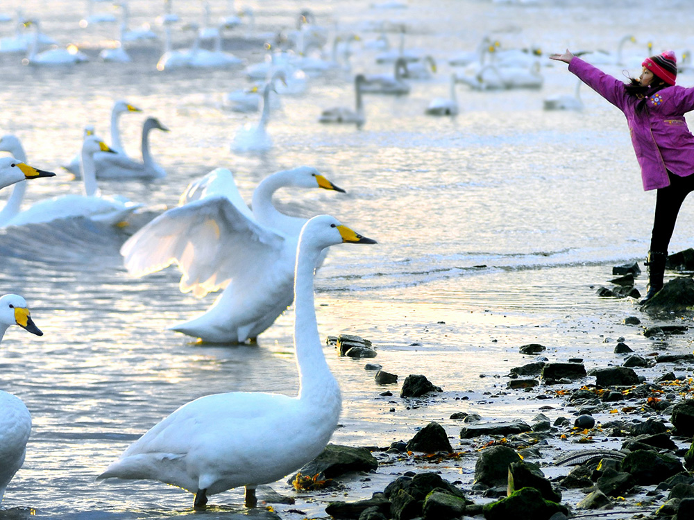 �������ǲ�(�й���)�ٷ���վ