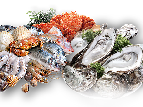 �������ǲ�(�й���)�ٷ���վ