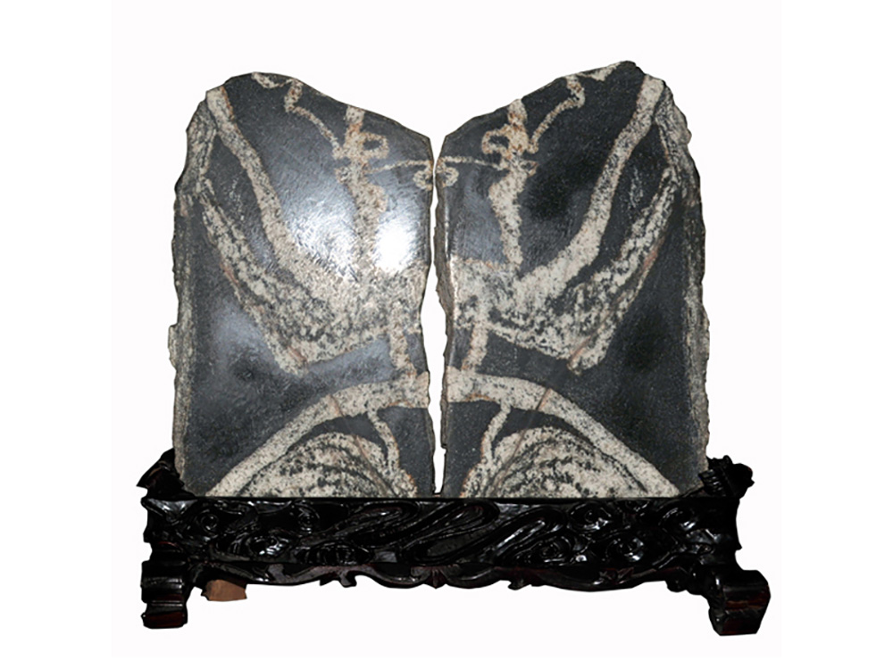 �������ǲ�(�й���)�ٷ���վ